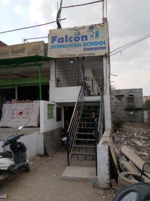 Falcon International School