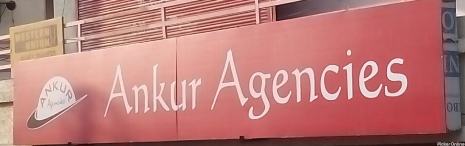 Ankur Agencies