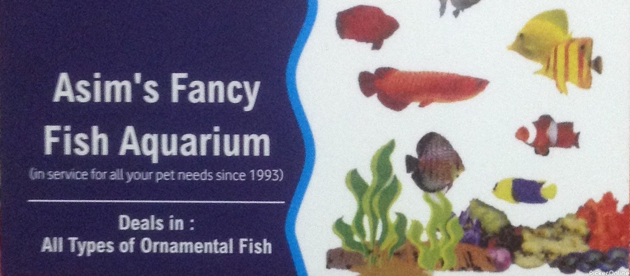 Asim s Fancy Fish Aquarium Dharampeth Nagpur Pickeronline