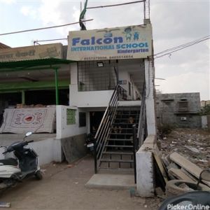 Falcon International School