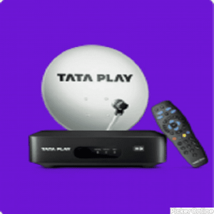 TATA PLAY JINGALALA STORE